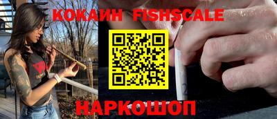 крисы Дубна