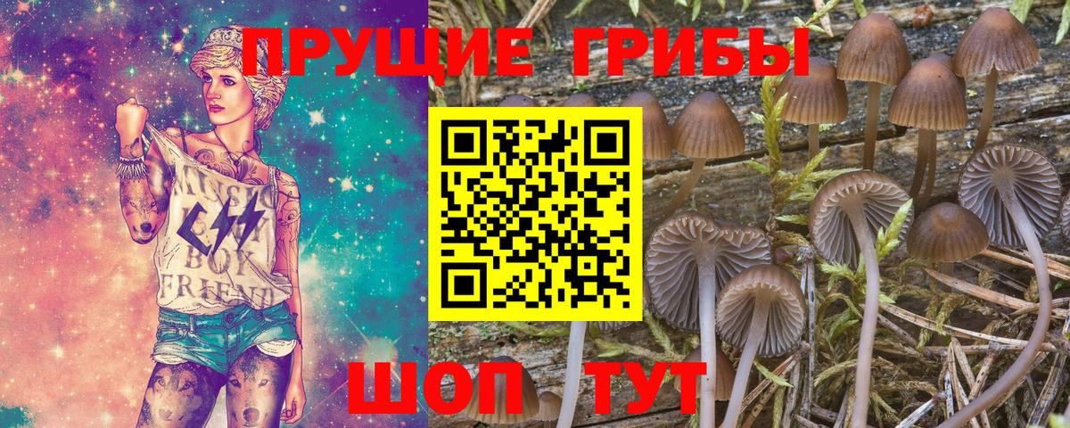 Галлюциногенные грибы мицелий Нягань